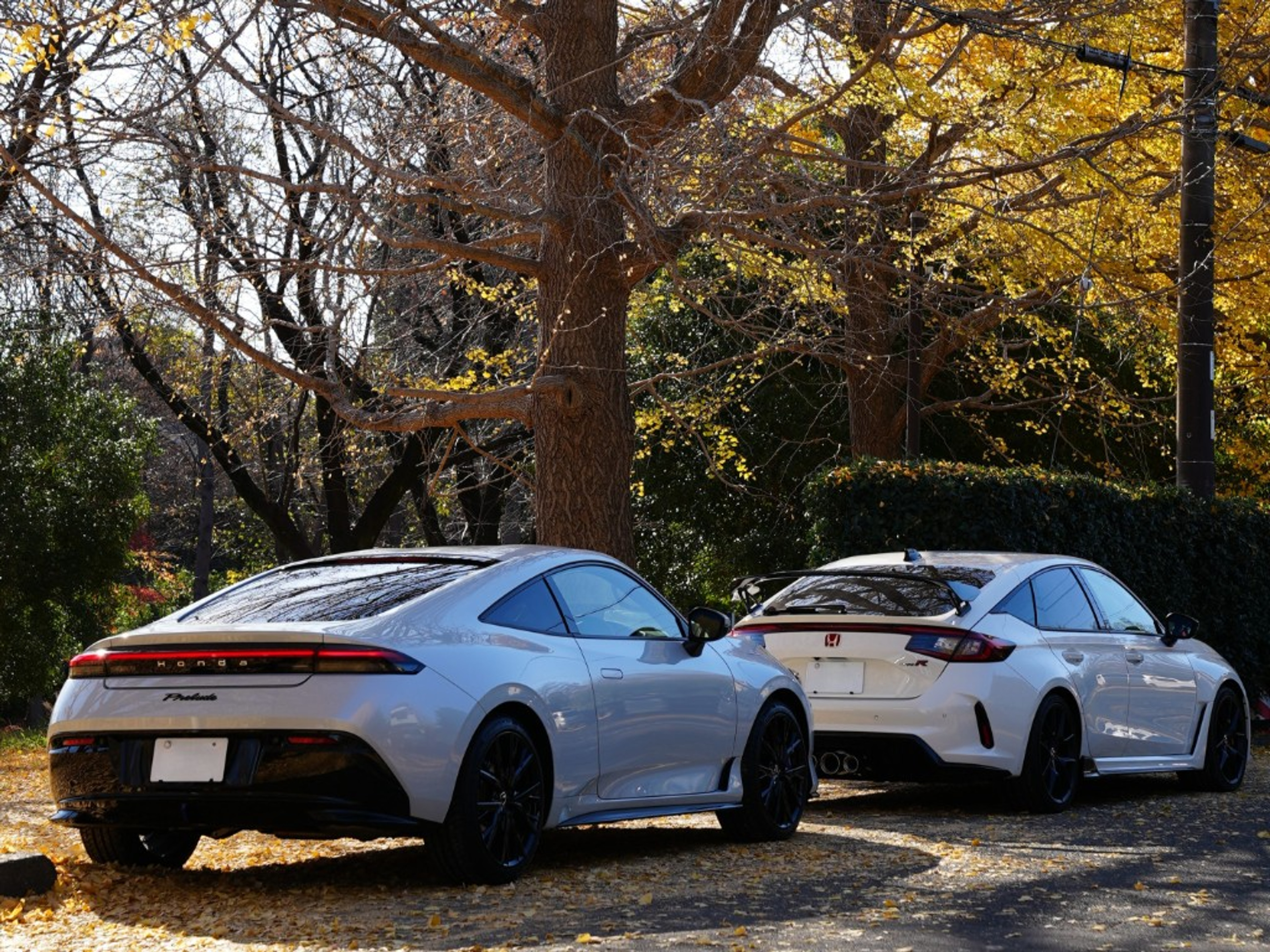 プレリュード＆シビック タイプR ―秋
